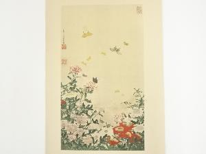 伊藤若冲　藤汝釣景和画　花図　印刷加工木版画